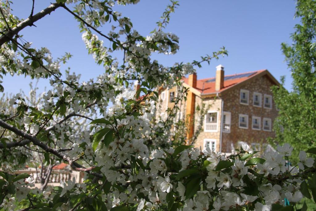 Le Palais Des Cerisiers Hotell Azrou Exteriör bild